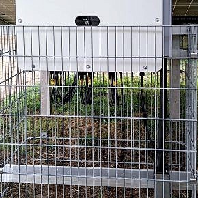 Verbissschutz-Kasten aus ­Doppelstabmatten