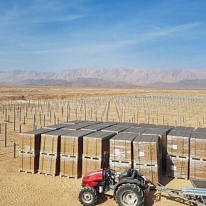 Solar park Saidabad, Iran